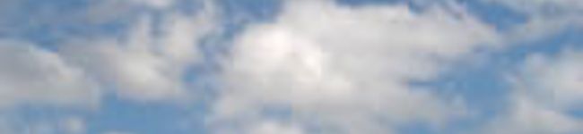 大きな栗の木の下's header image