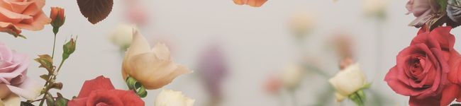 きっぱー's header image