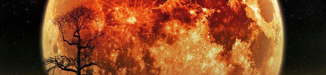 チェック・メイト's header image