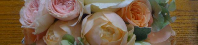 Dyon's header image