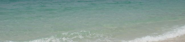 IRIEbaby's header image
