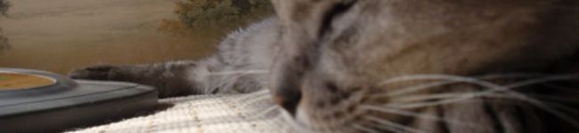 尚矢♪'s header image