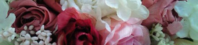 moonbright's header image