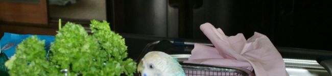 むーぴー's header image