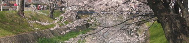 ジュビー's header image