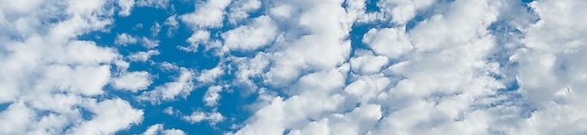 aaivamm's header image