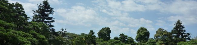 ぐれいじーまっど's header image