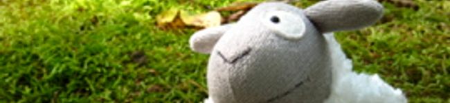 みきぽん0418's header image
