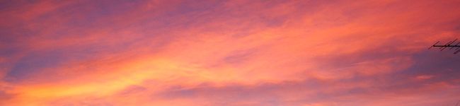 ken238's header image