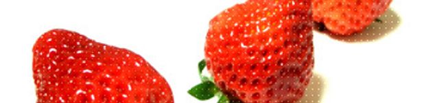 りんコ's header image