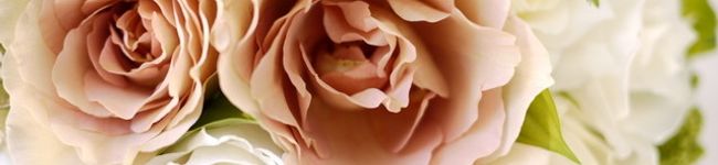 IYUGA's header image