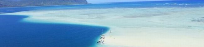Julie's header image