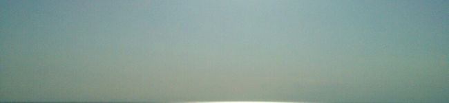 non445's header image