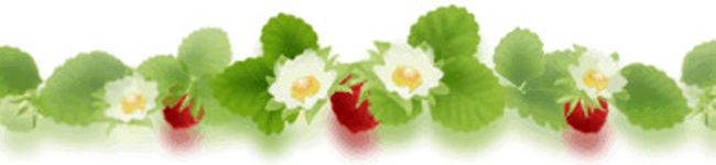vAIRUv's header image