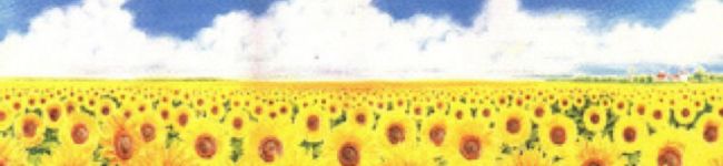 ayano74's header image