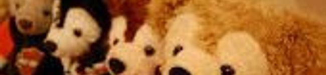 cinnamon☆'s header image