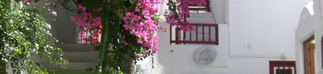 LOVELOHA's header image