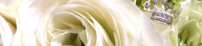 NayuMam's header image