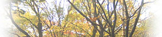 ユニークさん's header image