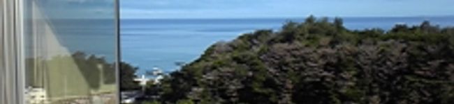 mametaka's header image