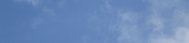 ちょうぜっぜママ's header image
