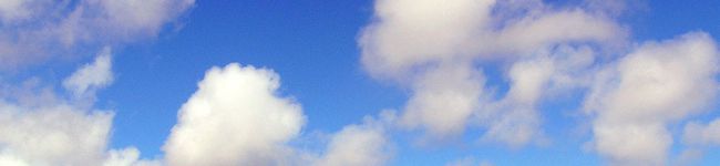 つよぽん０４１０'s header image