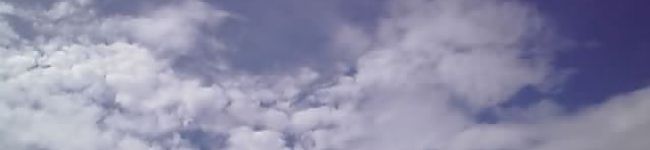 プリティトッシー's header image