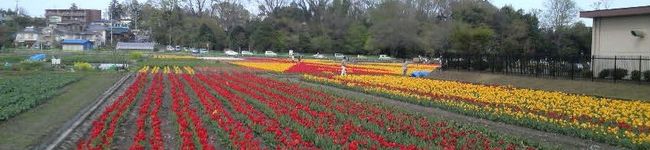 ♥あかりんママ♥'s header image