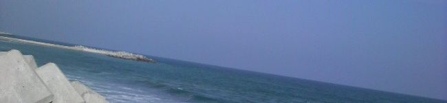 miyu's header image
