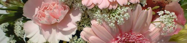yuppy1103's header image
