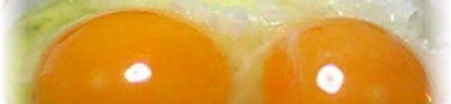 数ノ子's header image