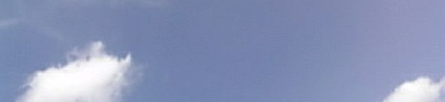 tenco's header image