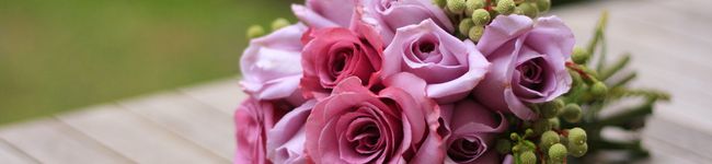 melb_girl's header image