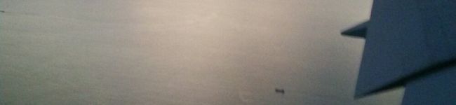 夕飯は簡単に's header image