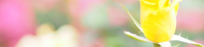 YOUF's header image