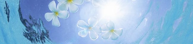おhana's header image