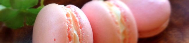 ぽん0314's header image