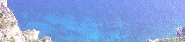 ベビーモンチッチ's header image