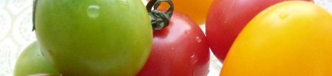 たじはに食堂's header image