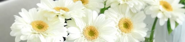 Ｙ’sＫitchen's header image