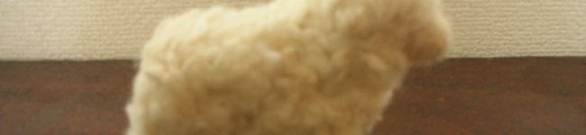 まるちゃんまるちゃん's header image