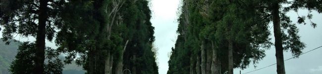 永遠の新妻's header image