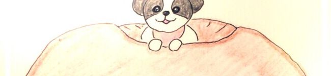 miraimiyu's header image