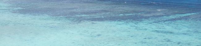あやまんまる's header image