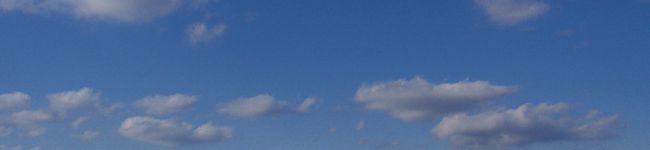 ooまーママoo's header image