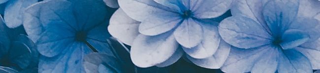 mmma_'s header image