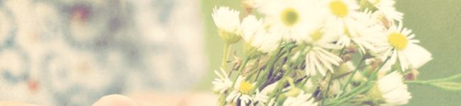 2956gucci's header image