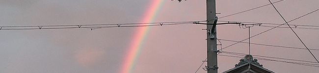 sarari's header image