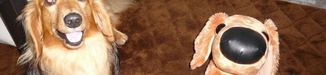 etoile's header image