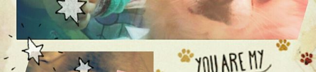 ｡★ﾏｲﾏﾏ★・'s header image